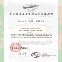 宝威体育·（中国）官方网站集团职业健康体系认证